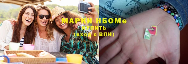 индика Козловка