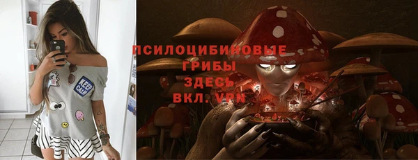 индика Козловка