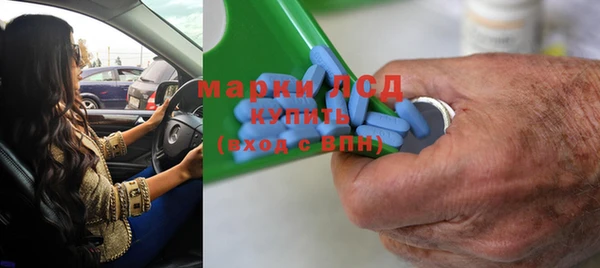 индика Козловка