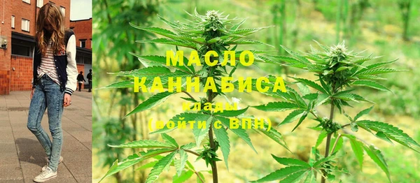 индика Козловка