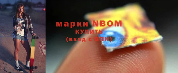 индика Козловка