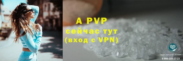индика Козловка