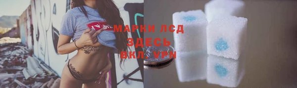 индика Козловка