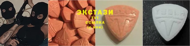 индика Козловка