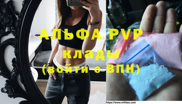 индика Козловка