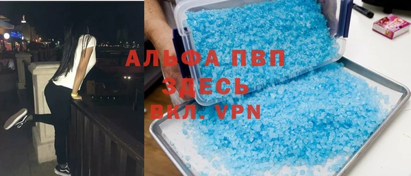 индика Козловка