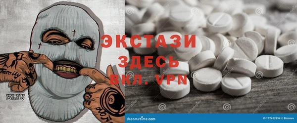 индика Козловка