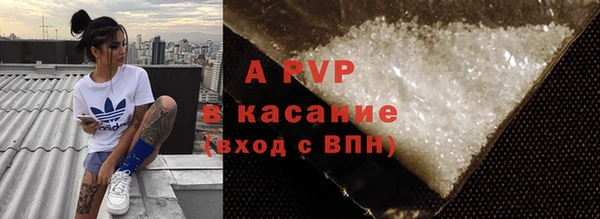 индика Козловка