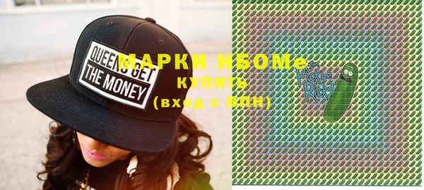 индика Козловка